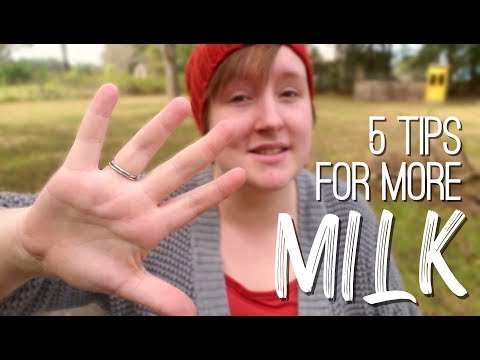 How to Increase Goat Milk Production | Totes Goats