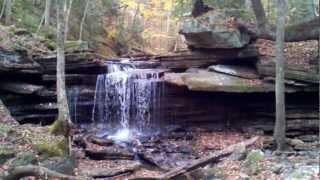 preview picture of video 'Lower Polly Branch Falls (12'), Bridgestone/Firestone Centennial Wilderness, Tennessee'