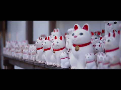 区内文化財紹介動画（豪徳寺）