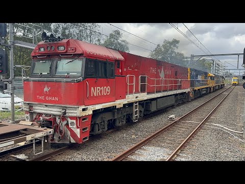 15/1/26 - Pacific National 5NY3 passing Rhodes with NR50, NR46, NR17, and NR109