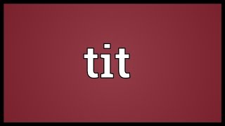 Tit Meaning