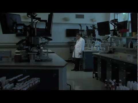 Beyond the Basement Door (Trailer)