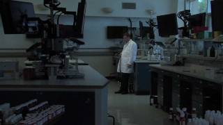 Beyond the Basement Door (Trailer)