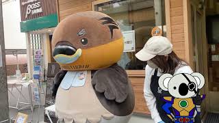 2026/4/9放送・知ったかぶりカイツブリにゅーす