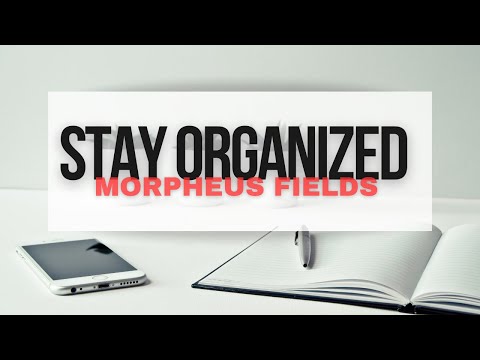 stay organized (morphic field)