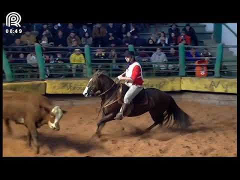 Aberta de Esteio (RS) – 1° lugar fêmeas – Umauá do Infinito (Prova: Mangueira II)