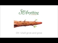 Say Anything - Chia-Like, I Shall Grow (Lyrics Video)