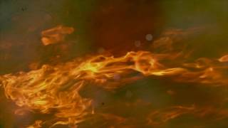 Amipagaille "on va faire un jeu"