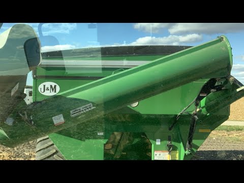Live Grain Cart Action In High-Yielding Corn Part 2