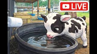 Live Goats - Syman Says Farms Cam 3 live webcam