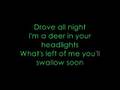 Holly (Would You Turn Me On?) - All Time Low (with lyrics)