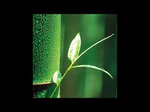 Daniel Stambler - The Heart Sutra