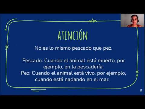 Curso de Espanhol Saludar presentarse y despedirse