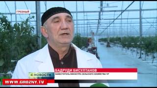 Владимир Путин поблагодарил Рамзана Кадырова и весь чеченский народ за восстановленный Грозный