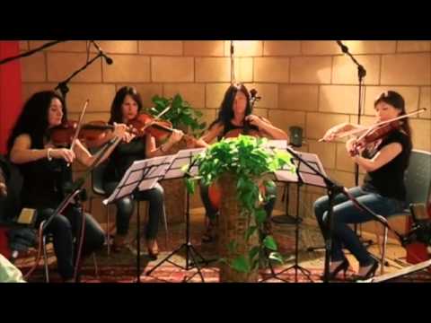 WARM MORNING BROTHERS - TOO FAR FROM THE STARS LIVE WITH STRING QUARTET
