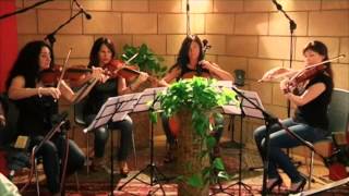 WARM MORNING BROTHERS - TOO FAR FROM THE STARS LIVE WITH STRING QUARTET