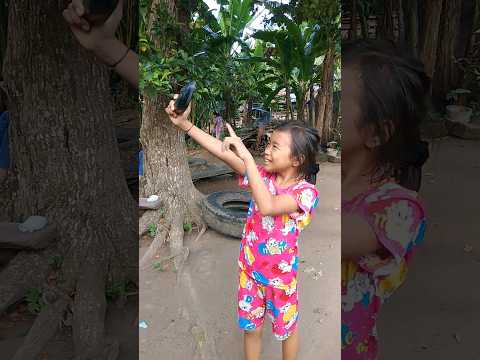 Liat Monyet Comedy