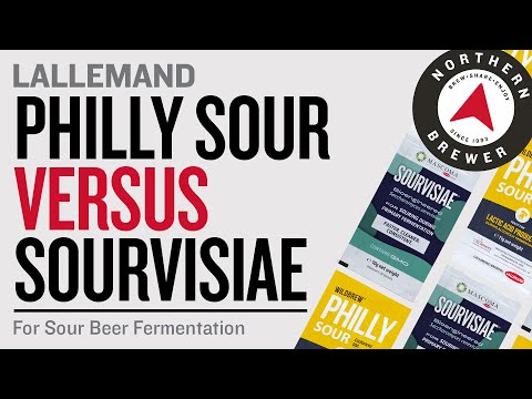 Philly Sour vs. Sourvisiae | Homebrew Sour Beer with Lallemand Brewing