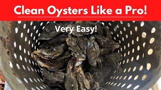 How to Clean Oysters Like A Pro | How to Clean Oysters Before Cooking