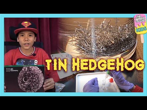 Tin Hedgehog Experiment | Mel Science (Chemistry) | Mussab Akkari