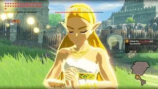 Hyrule Warriors Age of Calamity | ALL ZELDA weak point and specials Animation