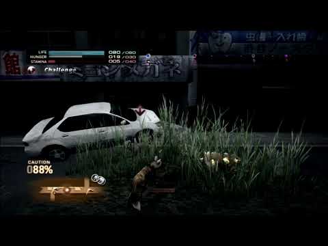 Tokyo Jungle - Survival - Lycaon [40 Years 62 075 points]