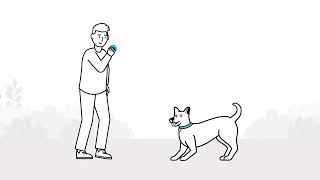 Understanding your dog's body language | The Battersea Way