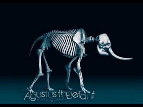 Agustus thElefant - Upside of your Face