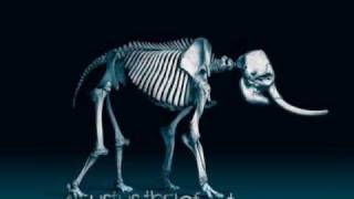 Agustus thElefant - Upside of your Face