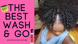 Wash and Go: Anthony Dickey Method Inspired