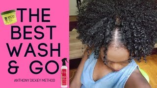 Wash and Go: Anthony Dickey Method Inspired