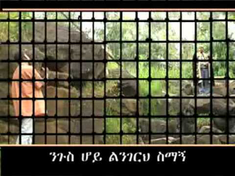 Nega lelitu  - Temsgen Markos