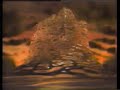 FXM FX Movies From Fox Bumper Title Card Commercial 25 Seconds 1996