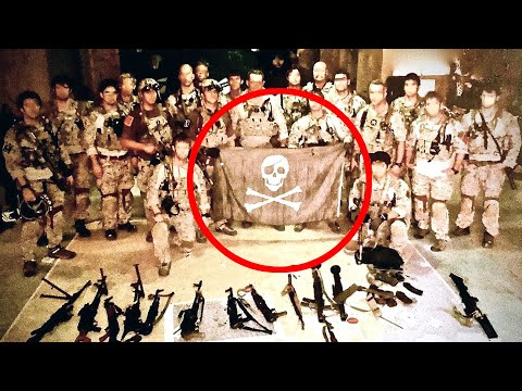 SEAL Team 6 DESTROYS Pirates - The Rescue of Jessica Buchanan