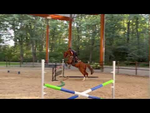 Etienne Empereur (CENTOFIORI DEI DIOSCURI x NADIR DI SAN PATRIGNANO) - Video 6 video thumbnail