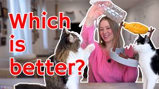 DIY free cat enrichment feeder vs $40 amazon enrichment feeder test