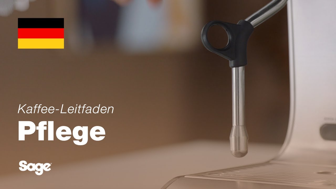 Reinigen des Dampfstabs und verstopfter Löcher in der Düse