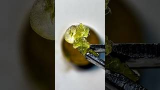 Does this count as science homework 🤷‍♂️