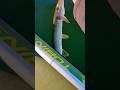 Video Thumbnail for Bye-bye  little pike #northernpike  #pike #catchandrelease #shorts