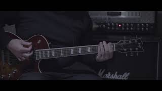 EVERY TIME I DIE - ROMAN HOLIDAY (GUITAR COVER) UPRES 4K