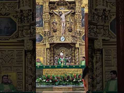 Que la Virgen de los Remedios nos siga protegiendo y acompañando #arqtl