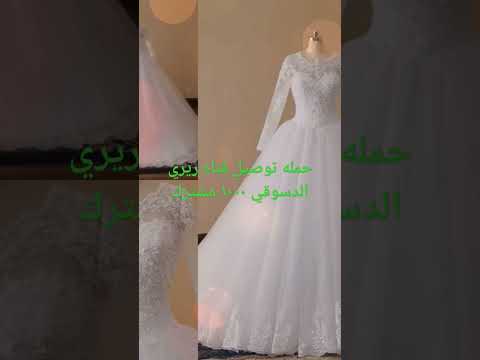 ١٤ أغسطس ٢٠٢٣