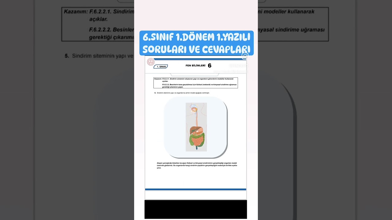 6.SINIF 1.DÖNEM 1.YAZILI SORULARI VE CEVAPLARIN PDF LERINE yüklendi. @