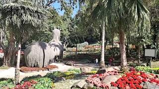 เที่ยวดอยตุง 2565