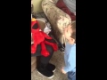 Gracen Singing With Melmo