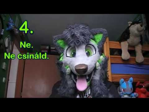 13 Fursuit tipp Danwolf-tól (Hungarian)