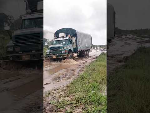 Rumbo a Puerto Carreño Vichada