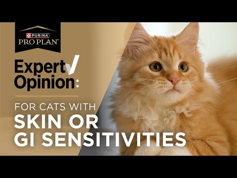 Vet Reviews Pro Plan Sensitive Skin & Stomach Cat Food - Dr. RuthAnn Lobos