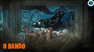 Trailer Preview Image