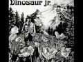 Dinosaur Jr - Bulbs Of Passion
